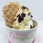 Frozen Yoghurt Veghel